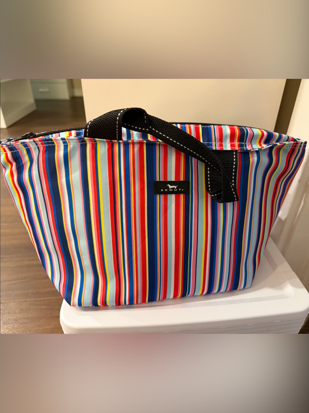 Scout Striped Lunch Bag in Red, Blue, Yellow, White